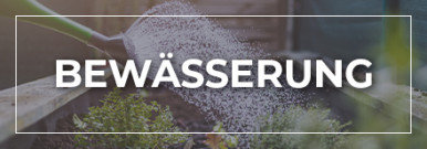 Themenwelt Bewässerung