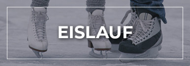 Themenwelt Eislauf