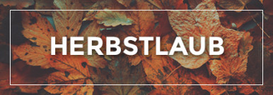 Themenwelt Herbstlaub