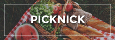 Themenwelt Picknick