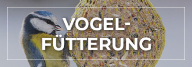 Themenwelt Vogelfütterung