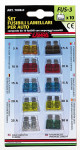 KFZ Standard Stecksicherungen, 10er Set 