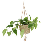 Rivanto® Indoor Blumenampel aus Borstgras und Jute, in verschiedenen Größen erhältlich 