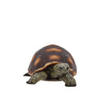 Rivanto® Schildkröte, 1 Stück, Gartendekoration aus Polyresin, verschiedene Größen 