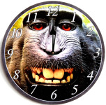 Rivanto® Wanduhr im Affen Design, 30 cm Ø 