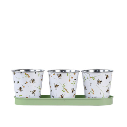 Esschert Design 3er Blumentopf Set Bienenmuster auf Tray, kleine Pflanztöpfe, Untersetzer Breite 32 cm, Topf Ø ca. 10 cm 
