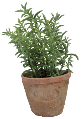 Esschert Design Kunststoffpflanze Thymian im Topf, Größe S, ca. 8,6 cm x 8,6 cm x 15 cm S | Thymian
