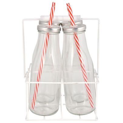 Esschert Design Trinkflaschen 4er Set mit Träger L aus Glas, Metall, Weißblech, PP und Silikon, 17,0 x 15,6 x 24,0 cm 