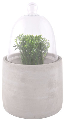 Esschert Design Ziehglocke mit Betonsockel aus Beton und Glas, 15,8 x 15,8 x 26,8 cm 