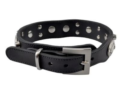 Hundehalsband Silver Nok, Rinds-Leder, schwarz, 42 cm 