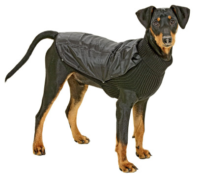 Karlie Sunny Hundepullover mit Regencape schwarz, 36 cm schwarz | 360