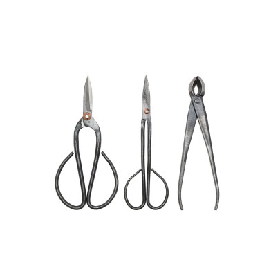Rivanto® Bonsai Werkzeug aus Stahl, Gartenscheren, Blumenscheren und Zange 