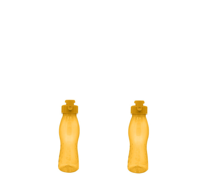 2 Stück culinario Trinkflasche Flip Top, BPA-frei, 700 ml Inhalt, orange