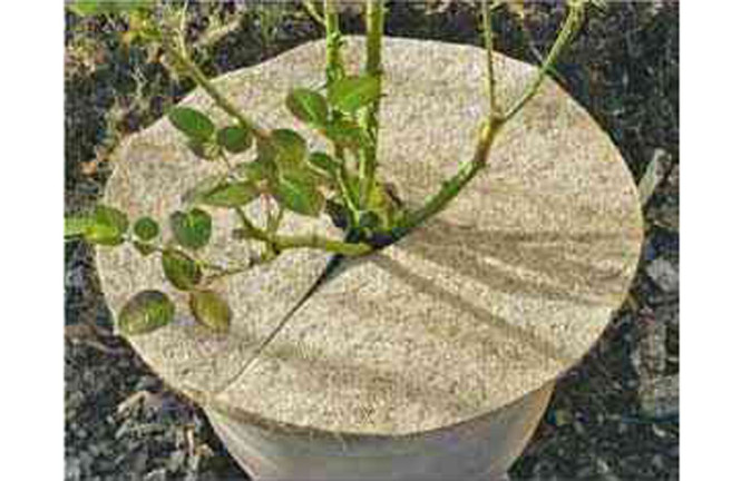 SIENA GARDEN - Kokos-Mulchscheibe Durchmesser: 37 cm
