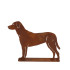 Hund stehend 