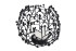 morepic-1