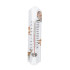 Aquarell Waldtiere 