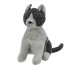 Katze 