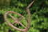 morepic-2