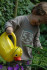 morepic-3