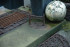 morepic-4