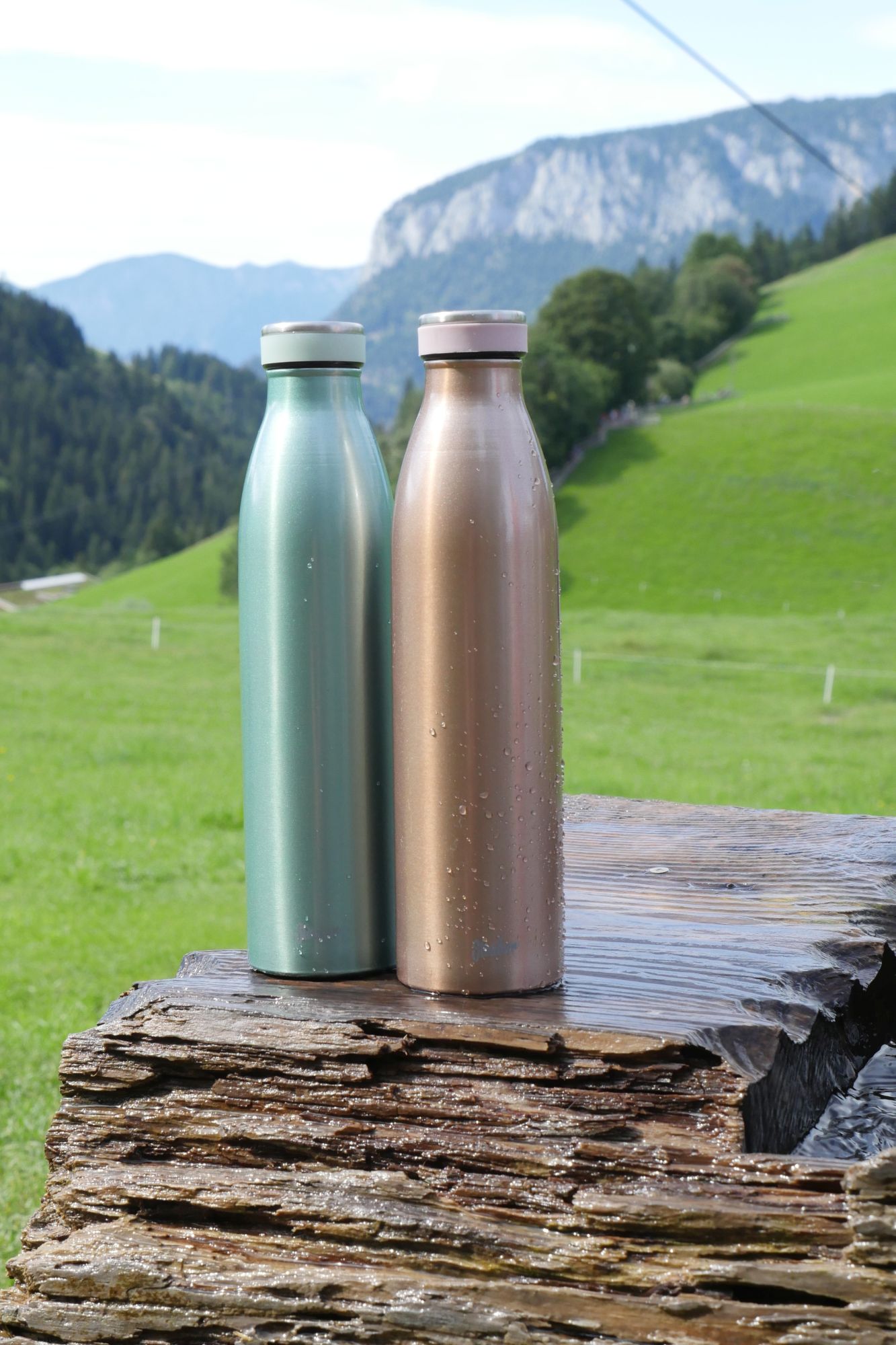 Steuber Edelstahl Thermo Trinkflasche Größe und Farbe wählbar